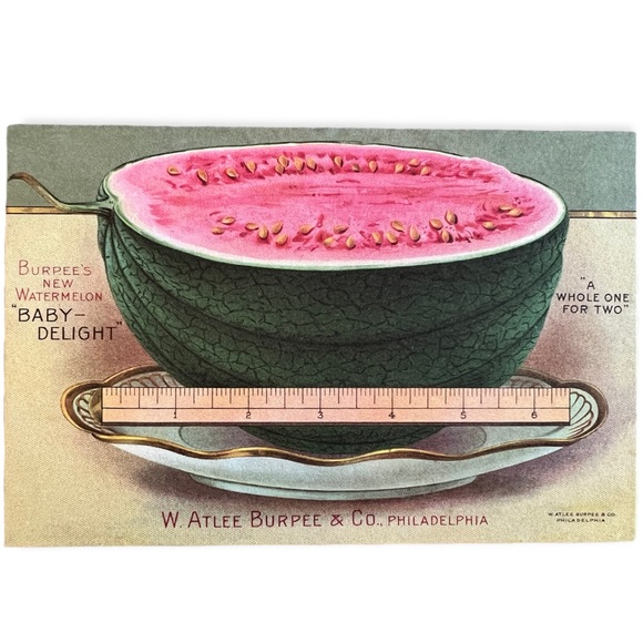 Cavallini & Co. Victory Garden Collection Seed Packet Postcard Set of 3 - NWT - Picture 4 of 9